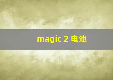 magic 2 电池